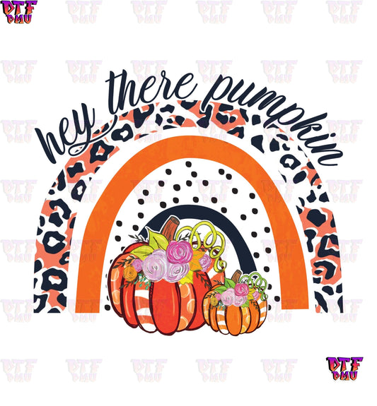 Hey There Pumpkin Rainbow (DTF Ready to Apply Transfer Print)